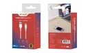 Câble A vers Lightning PVC 1 mètre